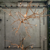 NIK_0611-Edit